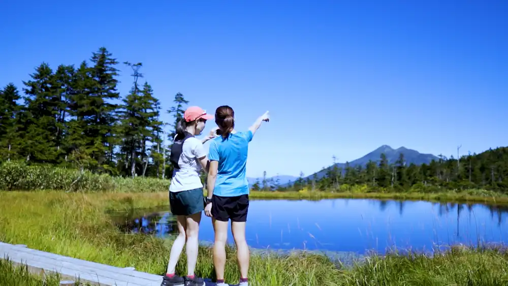湿原の木道から山を望む参加者